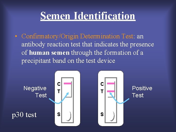 Semen Identification • Confirmatory/Origin Determination Test: an antibody reaction test that indicates the presence