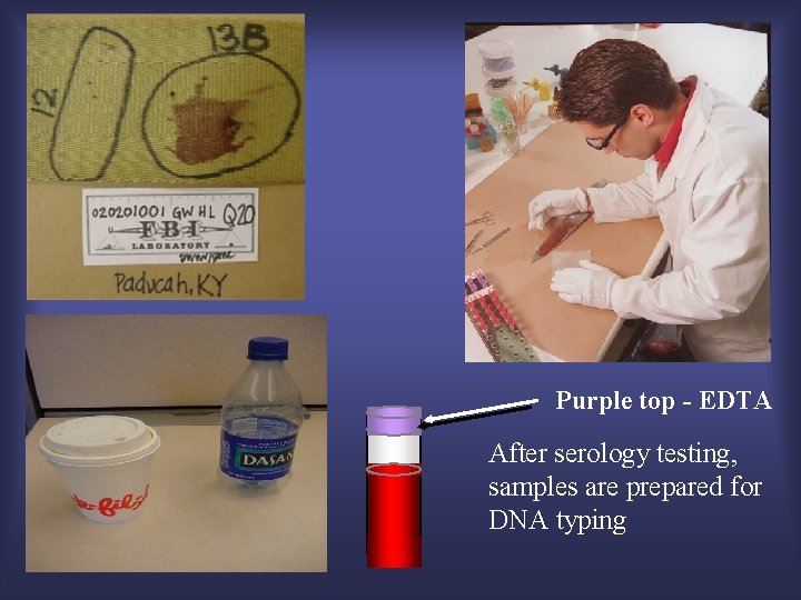 Purple top - EDTA After serology testing, samples are prepared for DNA typing 