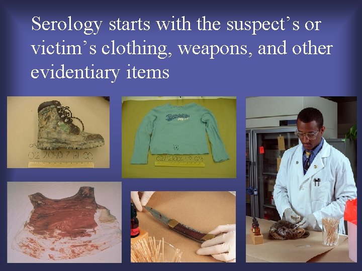 Serology starts with the suspect’s or victim’s clothing, weapons, and other evidentiary items 