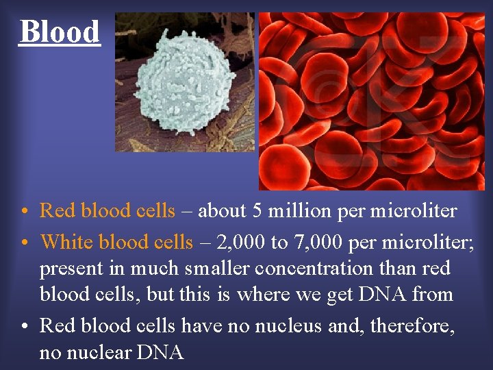 Blood • Red blood cells – about 5 million per microliter • White blood