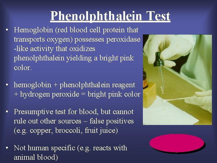 Phenolphthalein Test • Hemoglobin (red blood cell protein that transports oxygen) possesses peroxidase -like