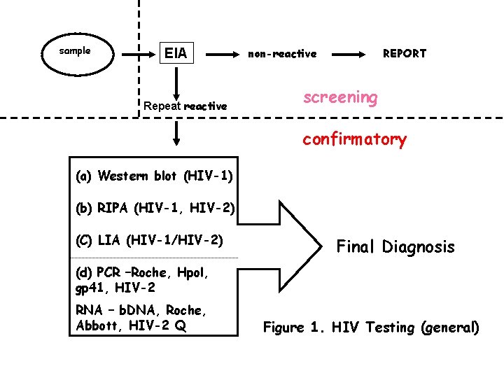 sample EIA Repeat reactive non-reactive REPORT screening confirmatory (a) Western blot (HIV-1) (b) RIPA