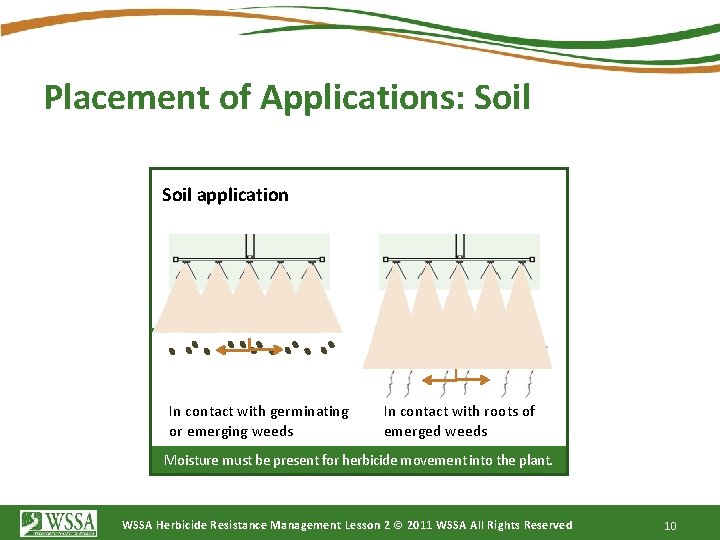 Placement of Applications: Soil application In contact with germinating or emerging weeds In contact