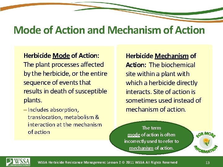 Mode of Action and Mechanism of Action Herbicide Mode of Action: The plant processes