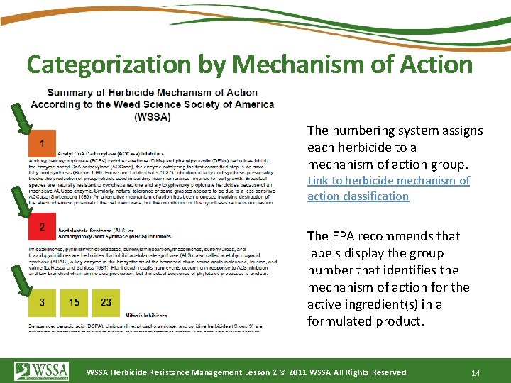 Categorization by Mechanism of Action The numbering system assigns each herbicide to a mechanism