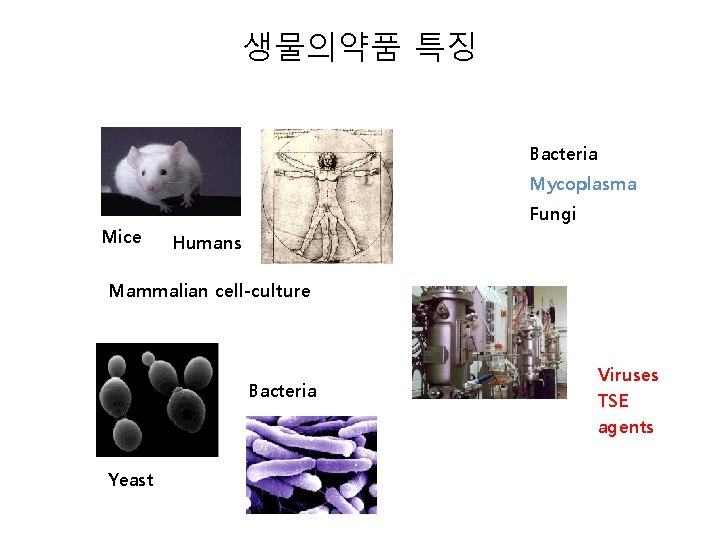 생물의약품 특징 Bacteria Mycoplasma Mice Fungi Humans Mammalian cell-culture Bacteria Yeast Viruses TSE agents