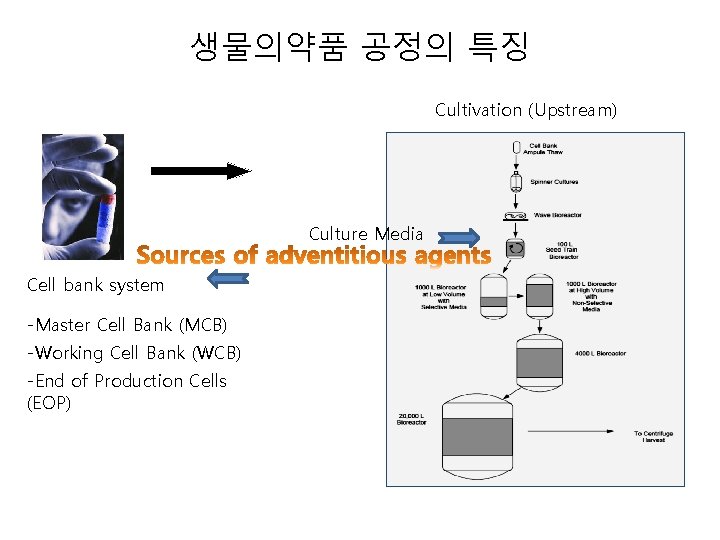 생물의약품 공정의 특징 Cultivation (Upstream) Culture Media Cell bank system -Master Cell Bank (MCB)