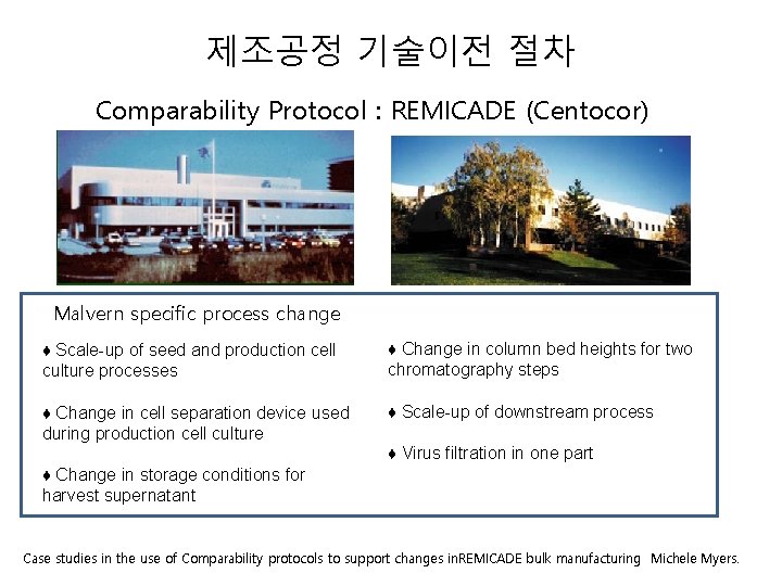 제조공정 기술이전 절차 Comparability Protocol : REMICADE (Centocor) Leiden, specific The Netherlands Malvern process