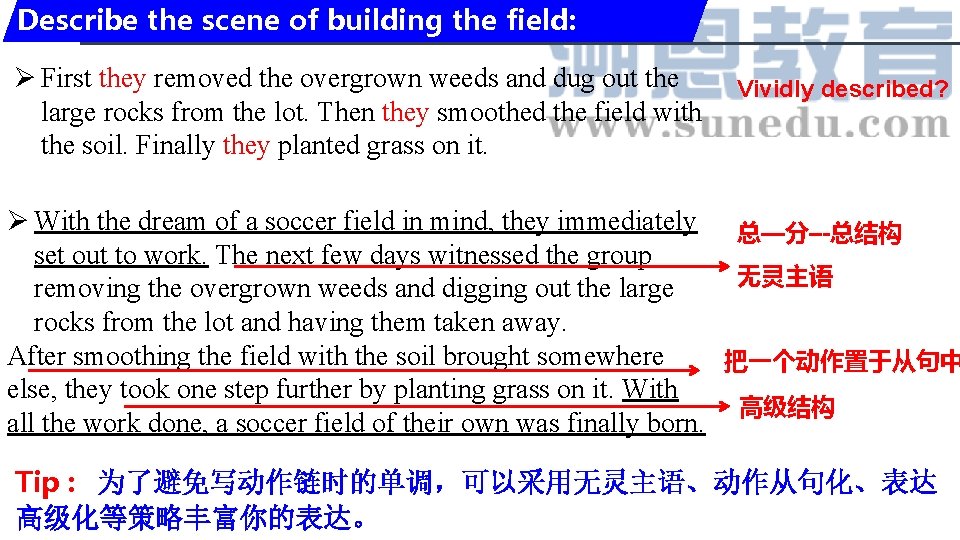 Describe the scene of building the field: Ø First they removed the overgrown weeds Describe the scene of building the field: Ø First they removed the overgrown weeds