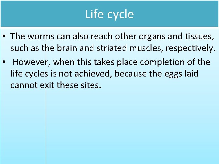 Life cycle • The worms can also reach other organs and tissues, such as