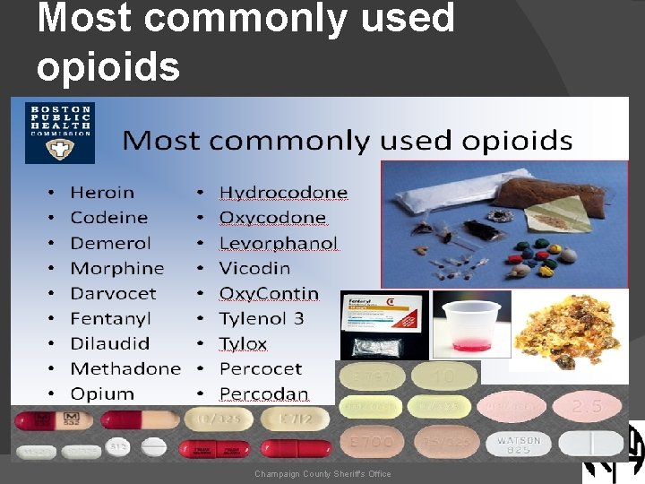 Most commonly used opioids Champaign County Sheriff's Office 