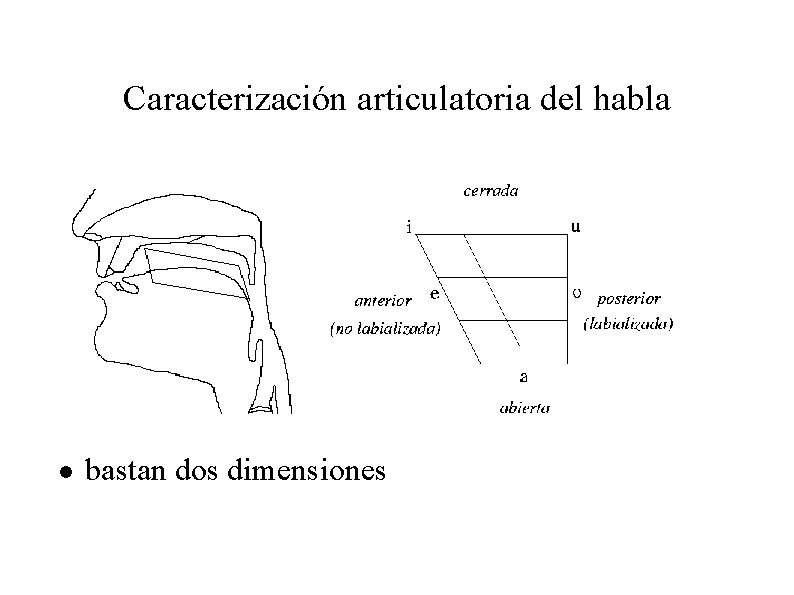 Caracterización articulatoria del habla n bastan dos dimensiones 