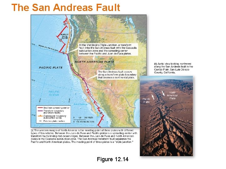 The San Andreas Fault Figure 12. 14 