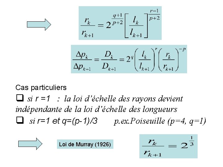 Cas particuliers q si r =1 : la loi d’échelle des rayons devient indépendante