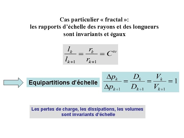 Cas particulier « fractal » : les rapports d’échelle des rayons et des longueurs