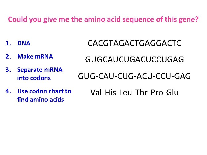 Could you give me the amino acid sequence of this gene? 1. DNA 2.