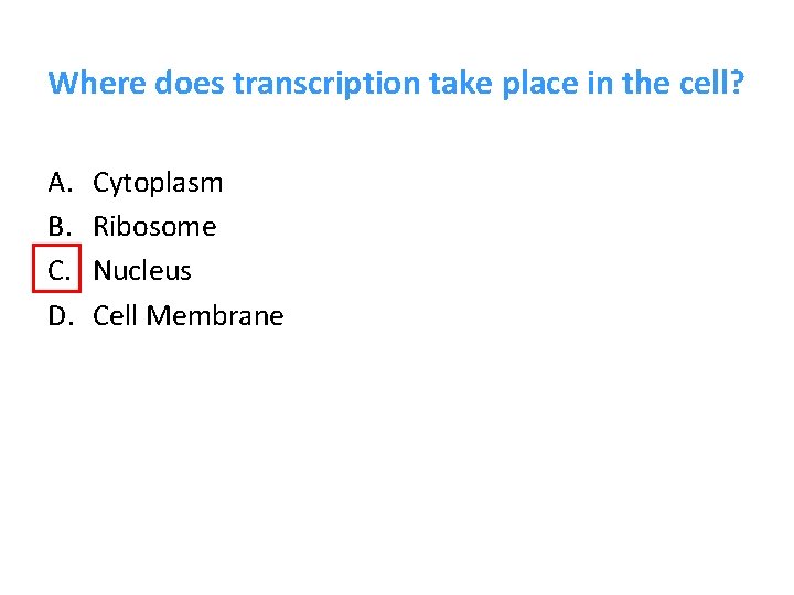Where does transcription take place in the cell? A. B. C. D. Cytoplasm Ribosome