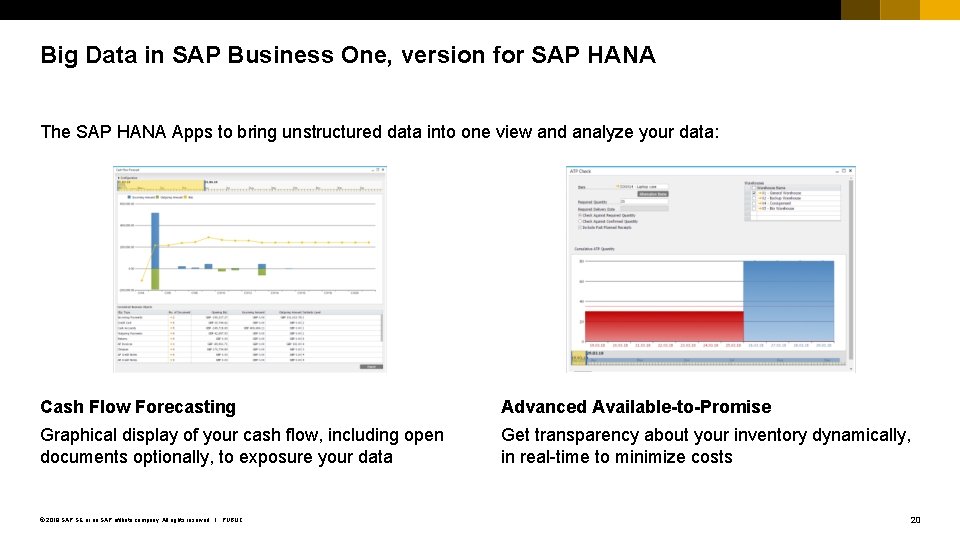 Big Data in SAP Business One, version for SAP HANA The SAP HANA Apps
