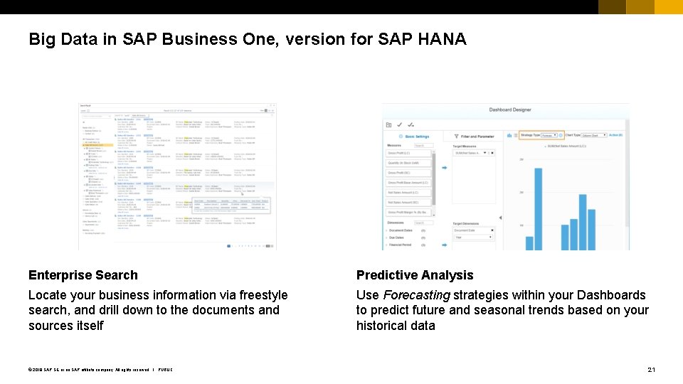 Big Data in SAP Business One, version for SAP HANA Enterprise Search Predictive Analysis