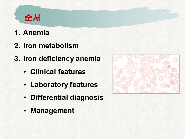 순서 1. Anemia 2. Iron metabolism 3. Iron deficiency anemia • Clinical features •