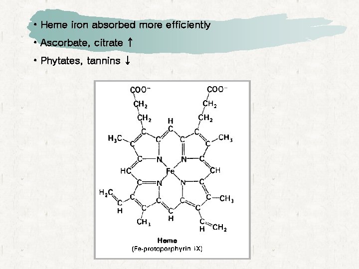  • Heme iron absorbed more efficiently • Ascorbate, citrate ↑ • Phytates, tannins