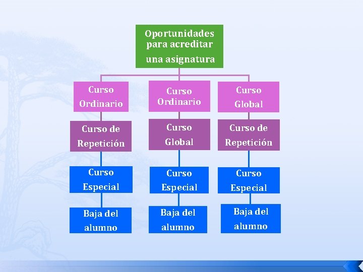 Oportunidades para acreditar una asignatura Curso Ordinario Global Curso de Repetición Global Repetición Curso