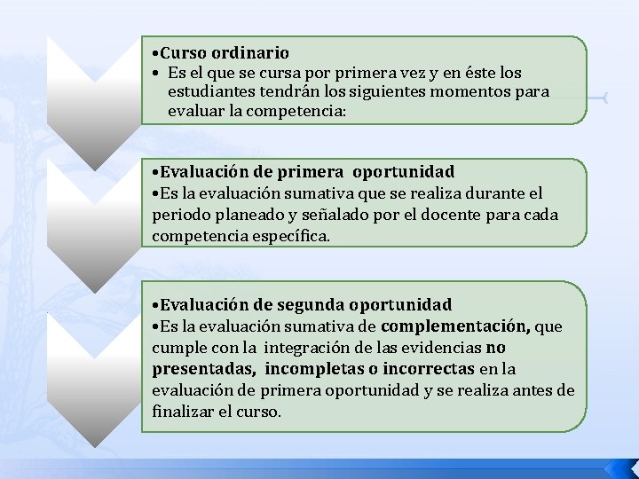  • Curso ordinario • Es el que se cursa por primera vez y