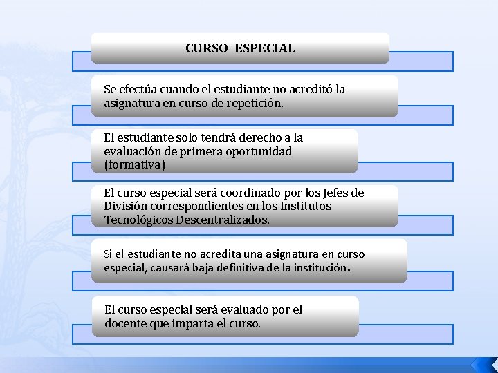 CURSO ESPECIAL Se efectúa cuando el estudiante no acreditó la asignatura en curso de