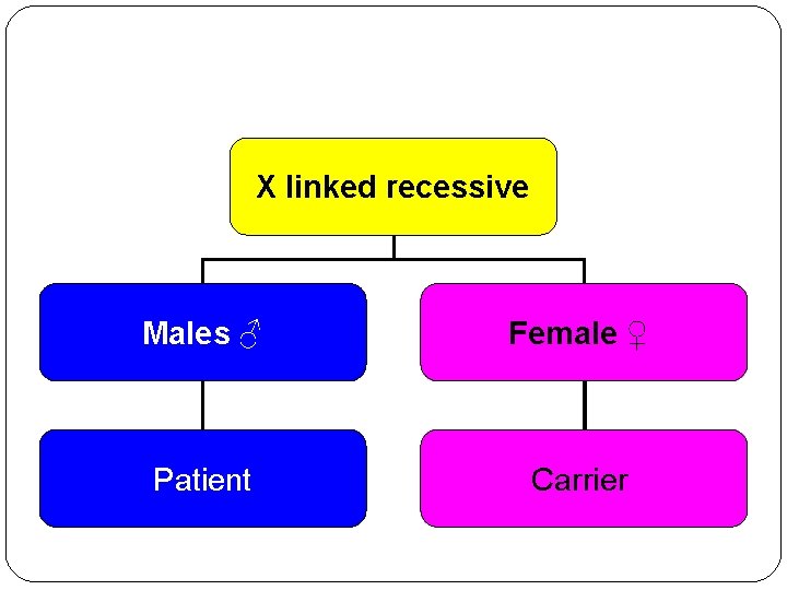 X linked recessive Males ♂ Female ♀ Patient Carrier 