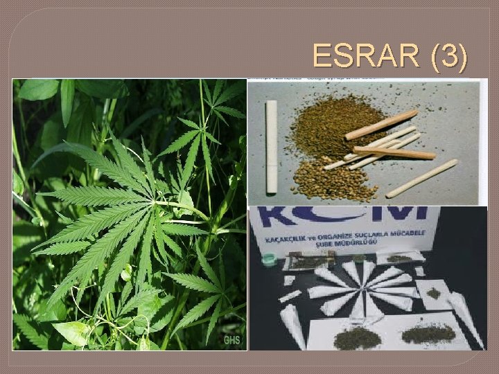 ESRAR (3) 