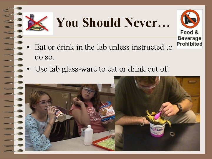 You Should Never… • Eat or drink in the lab unless instructed to do