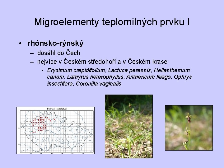 Migroelementy teplomilných prvků I • rhónsko-rýnský – dosáhl do Čech – nejvíce v Českém