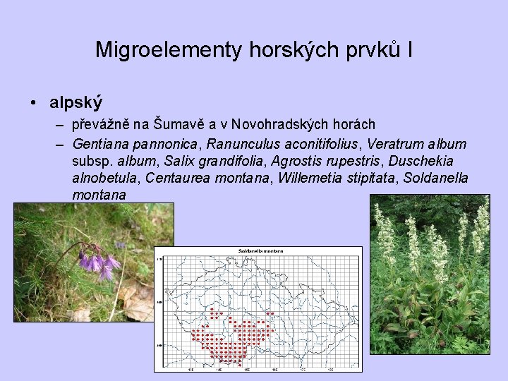 Migroelementy horských prvků I • alpský – převážně na Šumavě a v Novohradských horách