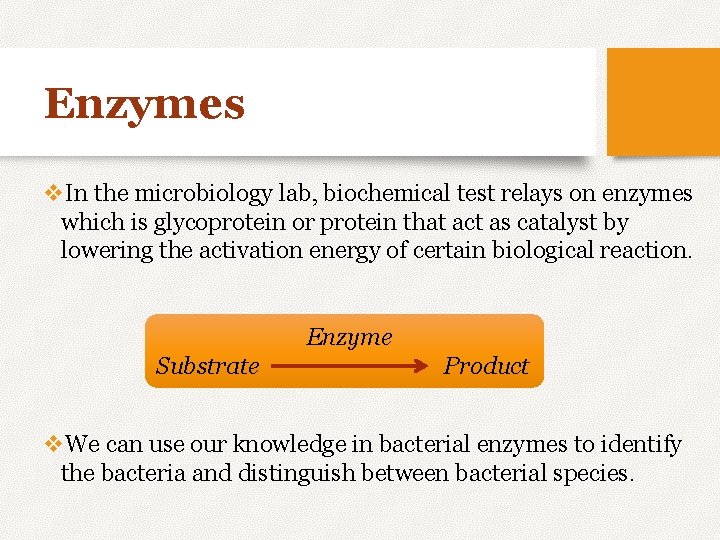 Enzymes v. In the microbiology lab, biochemical test relays on enzymes which is glycoprotein