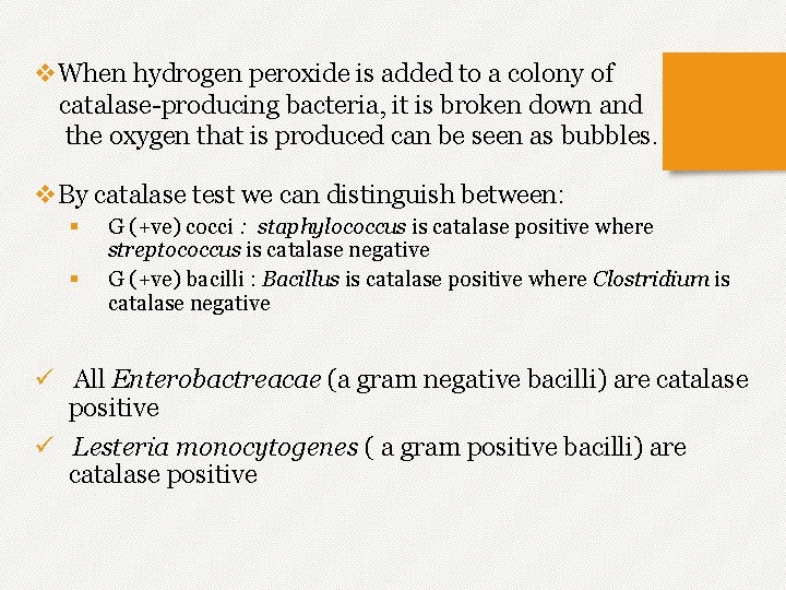 v. When hydrogen peroxide is added to a colony of catalase-producing bacteria, it is