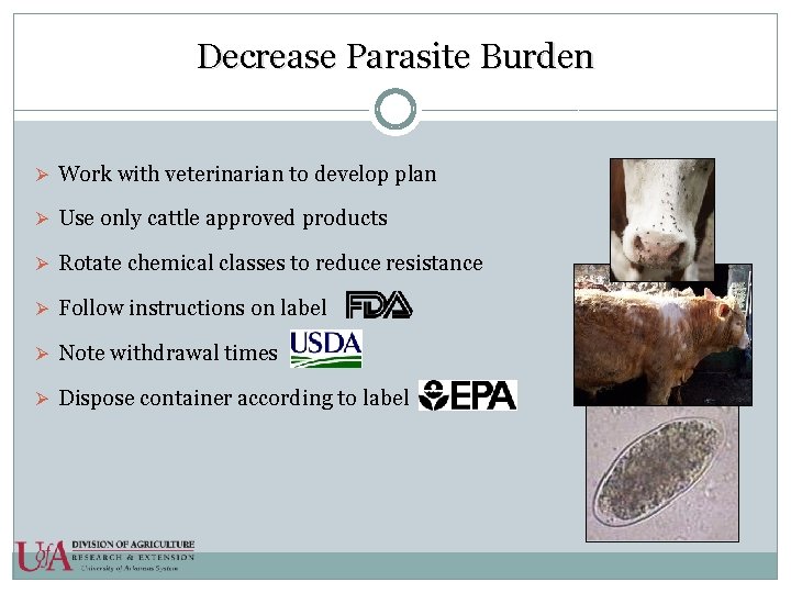 Decrease Parasite Burden Ø Work with veterinarian to develop plan Ø Use only cattle