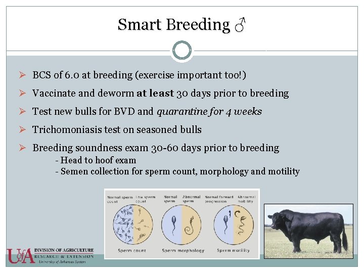 Smart Breeding ♂ Ø BCS of 6. 0 at breeding (exercise important too!) Ø