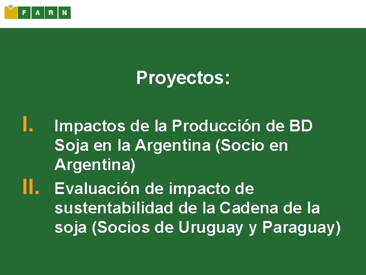 Proyectos: I. II. Impactos de la Producción de BD Soja en la Argentina (Socio