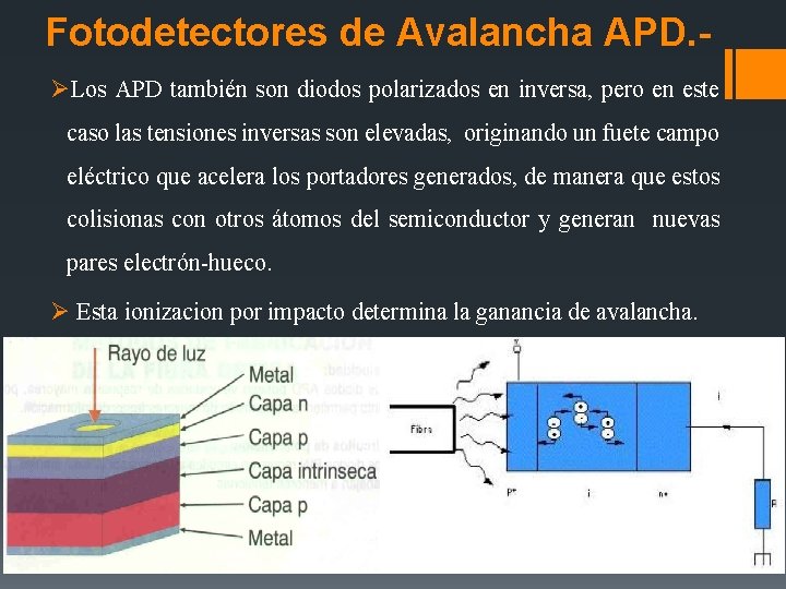 Fotodetectores de Avalancha APD. ØLos APD también son diodos polarizados en inversa, pero en