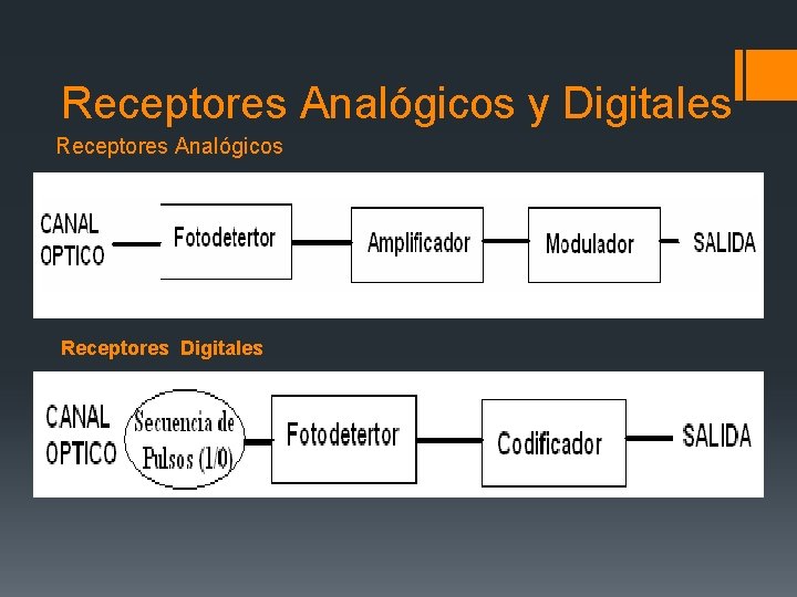 Receptores Analógicos y Digitales Receptores Analógicos Receptores Digitales 