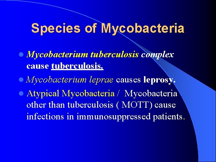 Species of Mycobacteria l Mycobacterium tuberculosis complex cause tuberculosis. l Mycobacterium leprae causes leprosy.
