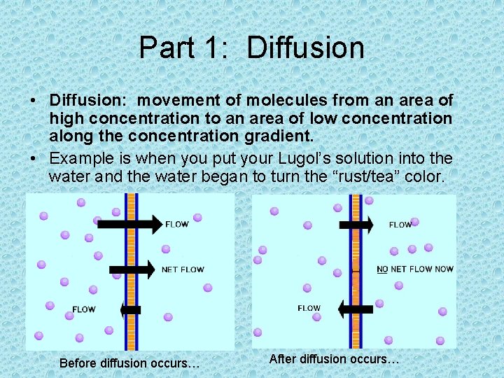 Part 1: Diffusion • Diffusion: movement of molecules from an area of high concentration