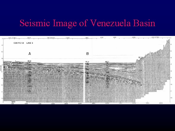 Seismic Image of Venezuela Basin 
