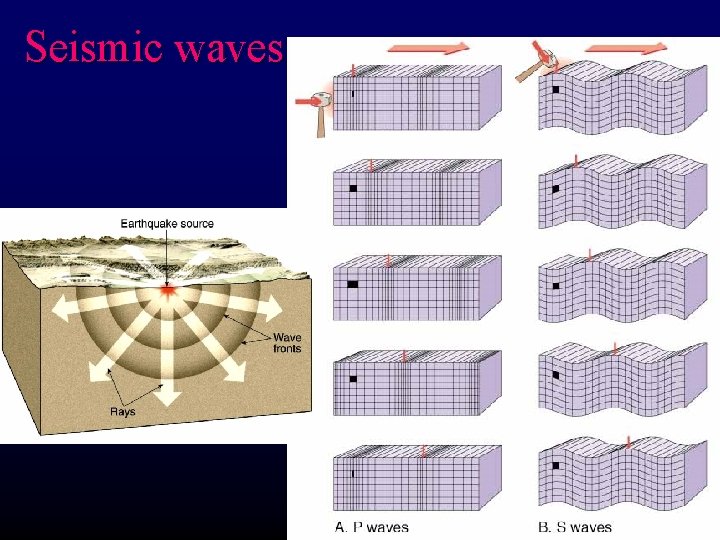 Seismic waves 