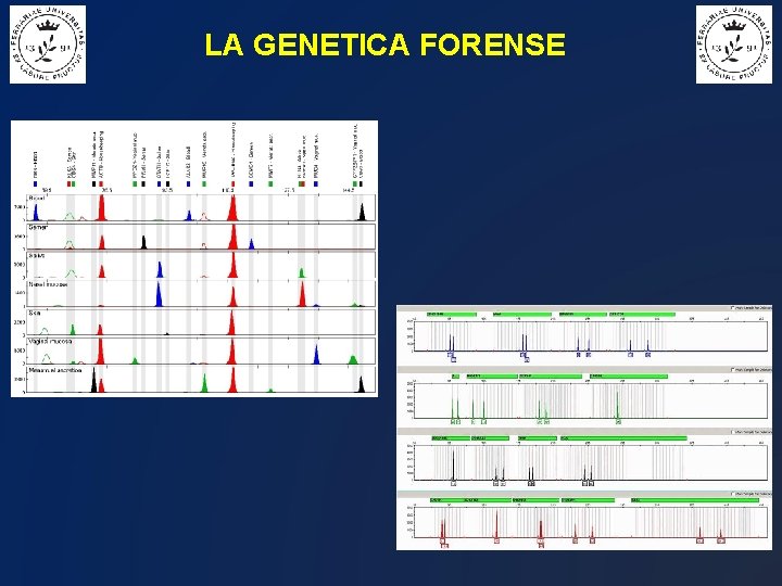 LA GENETICA FORENSE 
