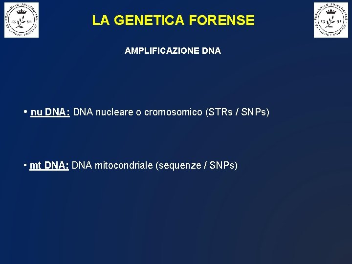 LA GENETICA FORENSE AMPLIFICAZIONE DNA • nu DNA: DNA nucleare o cromosomico (STRs /