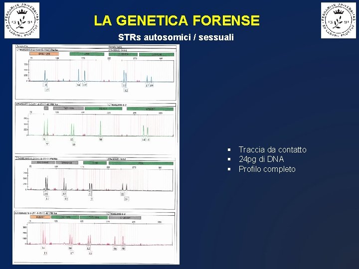 LA GENETICA FORENSE STRs autosomici / sessuali § Traccia da contatto § 24 pg