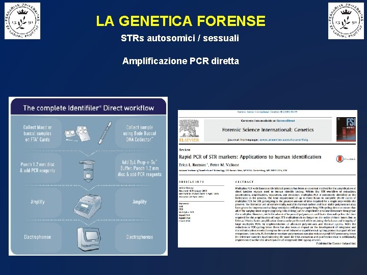 LA GENETICA FORENSE STRs autosomici / sessuali Amplificazione PCR diretta 