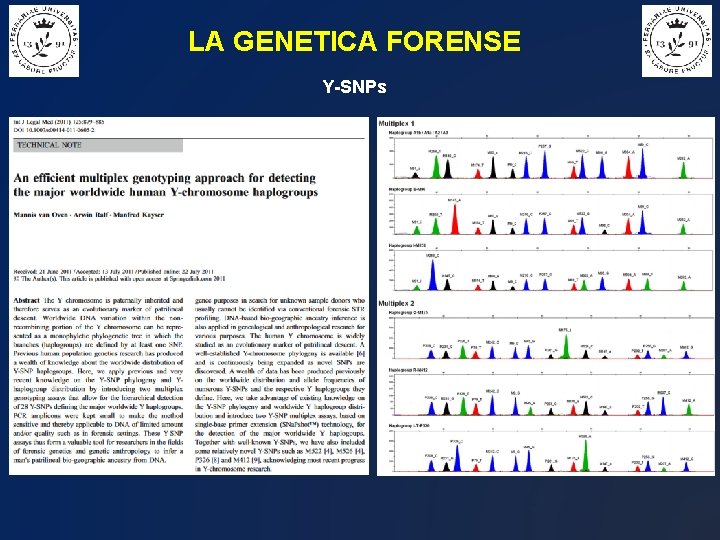 LA GENETICA FORENSE Y-SNPs 