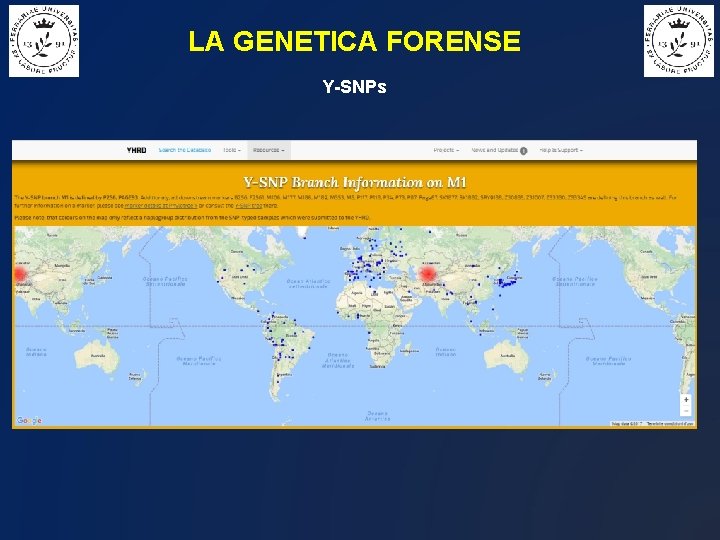LA GENETICA FORENSE Y-SNPs 